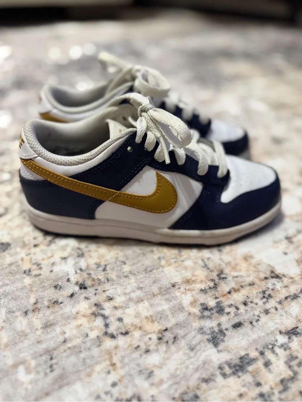Boys Nike Dunk Low